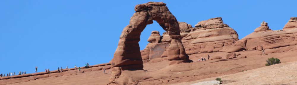 o smakach ze smakiem