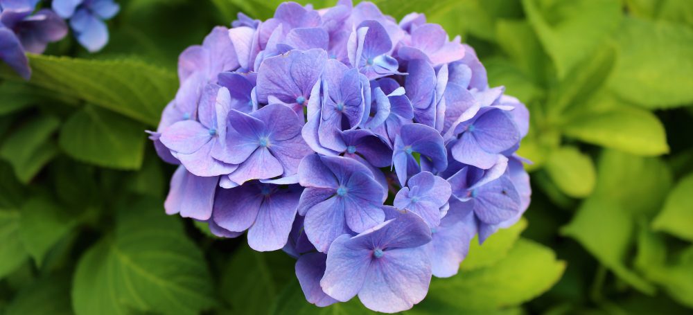 o smakach ze smakiem