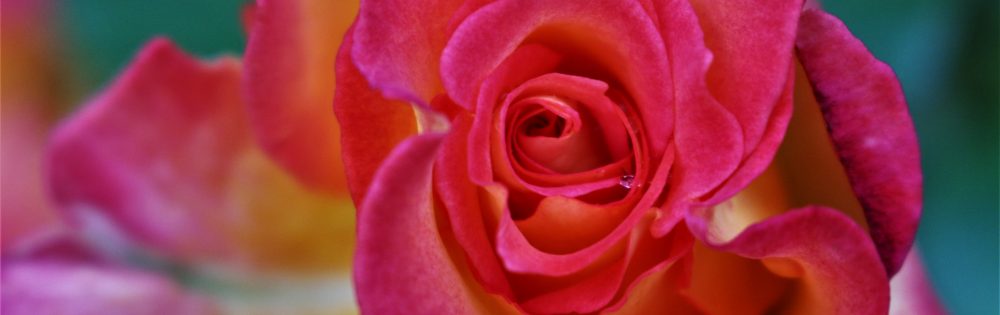 o smakach ze smakiem