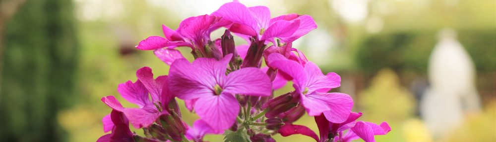 o smakach ze smakiem