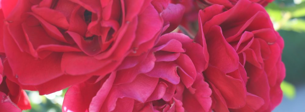 o smakach ze smakiem