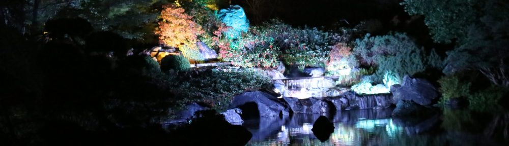 o smakach ze smakiem