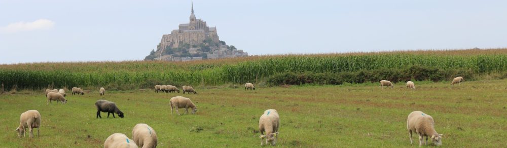 o smakach ze smakiem